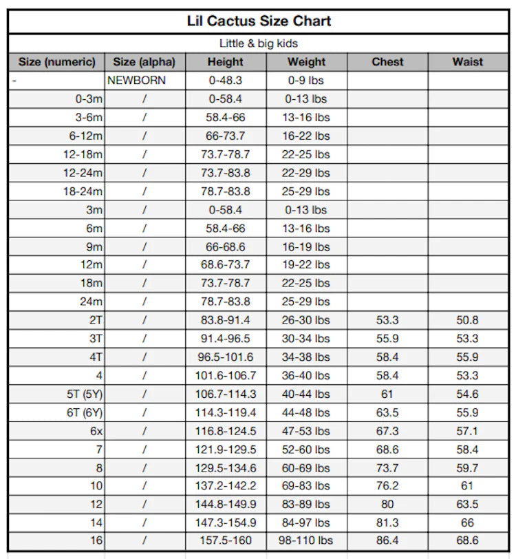 Flag Smocked Bishop Dress